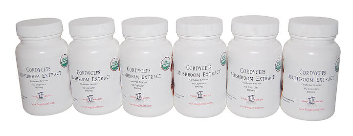Cordyceps - Six month supply