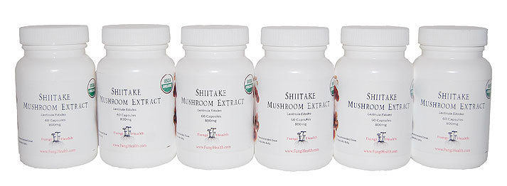 Shiitake - Six month supply